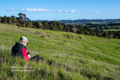 Photo of property in 485 Kiwitahi Road, Helensville, 0875