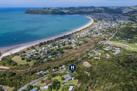 Photo of property in 969 Purangi Road, Cooks Beach, Whitianga, 3591