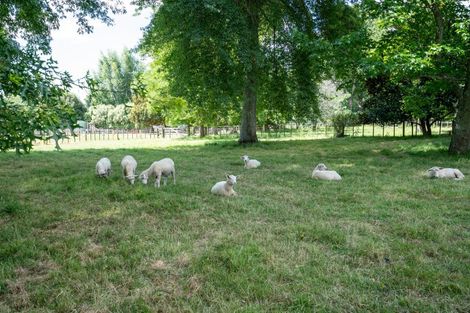 Photo of property in 21 Bollard Road, Tamahere, 3283