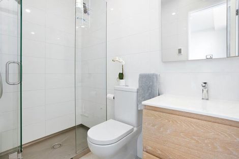 Photo of property in 405/246 Khyber Pass Road, Grafton, Auckland, 1023