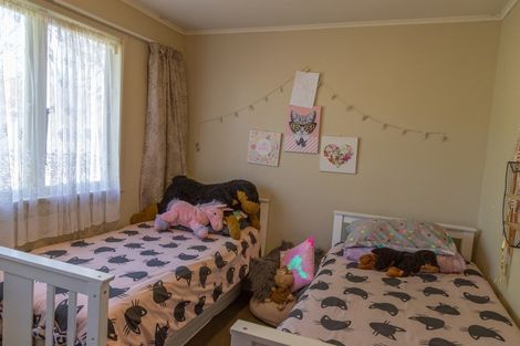 Photo of property in 79 Patikura Place, Turangi, 3334