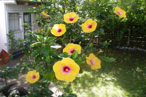 Photo of property in 11 Challinor Street, Pakuranga, Auckland, 2010