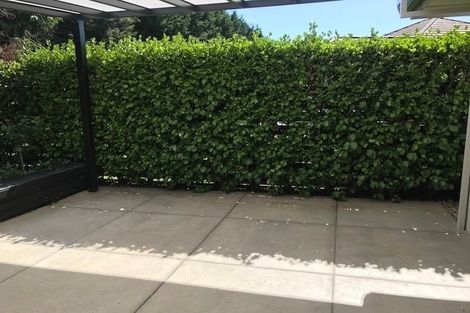 Photo of property in 206 Rowesdale Drive, Ohauiti, Tauranga, 3112