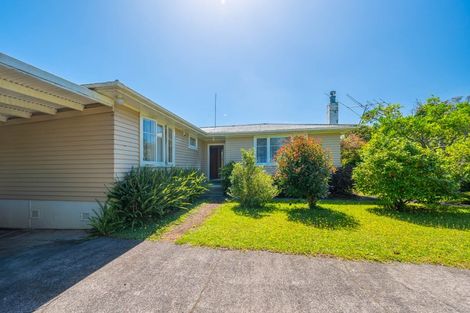 Photo of property in 68 Buscomb Avenue, Henderson, Auckland, 0610
