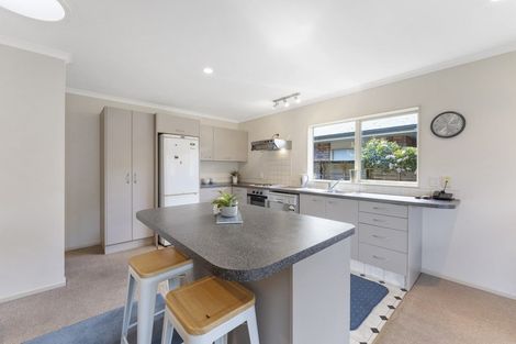 Photo of property in 38 Duke Street, Levin, 5510