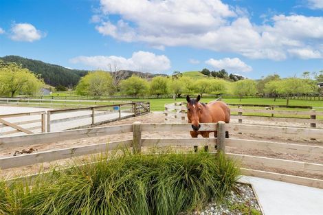 Photo of property in 42 Westminster Glen, Matakana, Warkworth, 0985