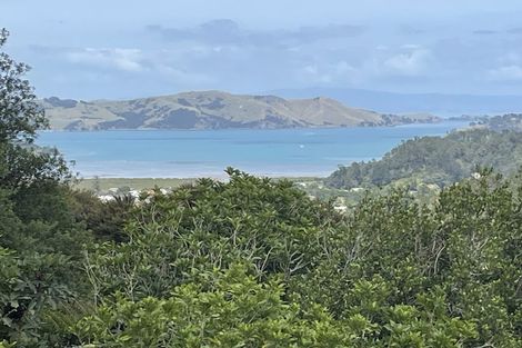 Photo of property in 800 Buffalo Road, Coromandel, 3506