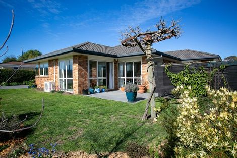 Photo of property in 191 Taylor Street, Cambridge, 3434
