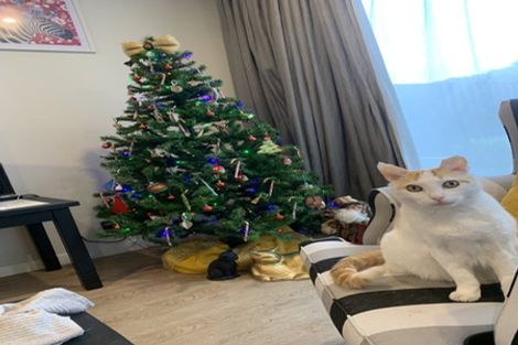 Photo of property in 130 Warden Street, Shirley, Christchurch, 8013