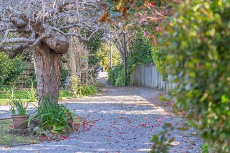 Photo of property in 243 Te Moana Road, Waikanae, 5036