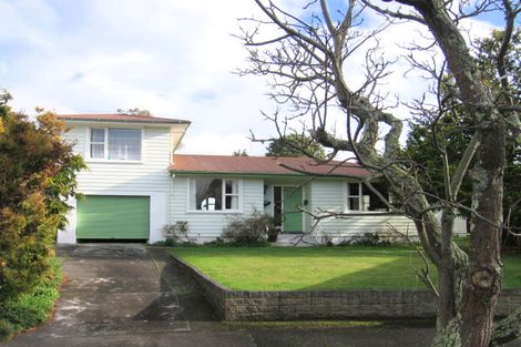 Photo of property in 5 Patea Place, Terrace End, Palmerston North, 4410