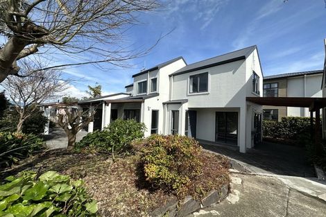 Photo of property in 10a Heath Street, Mount Maunganui, 3116