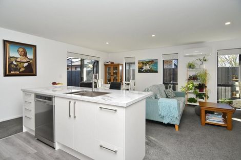 Photo of property in 283 Island Road, Kaiapoi, 7630