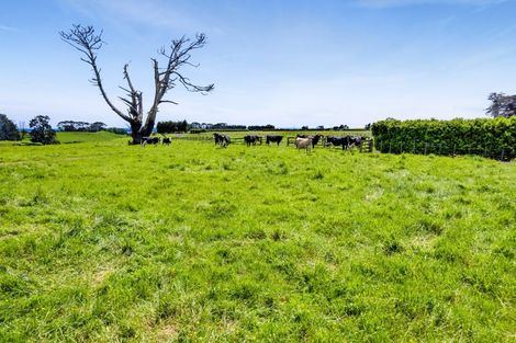 Photo of property in 313 Egmont Road, Hillsborough, New Plymouth, 4372