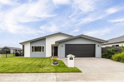 Photo of property in 20 Hunter Drive, Awatoto, Napier, 4110
