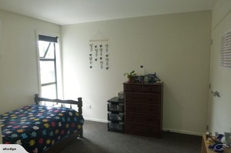 Photo of property in 14 Hebbard Court, Albert Town, Wanaka, 9305