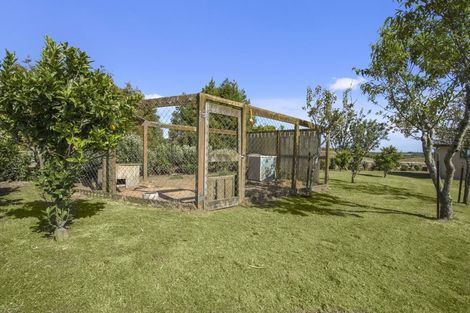 Photo of property in 181 Mangatoi Road, Oropi, Tauranga, 3173