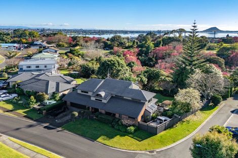 Photo of property in 3 Curlew Close, Maungatapu, Tauranga, 3112