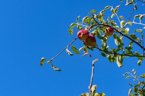 Photo of property in 197 Mary Street, Richmond, Invercargill, 9810