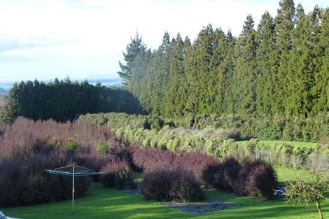 Photo of property in 46 Laurel Drive, Whakamarama, Tauranga, 3179