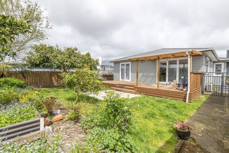 Photo of property in 7 Middlesex Street, Levin, 5510