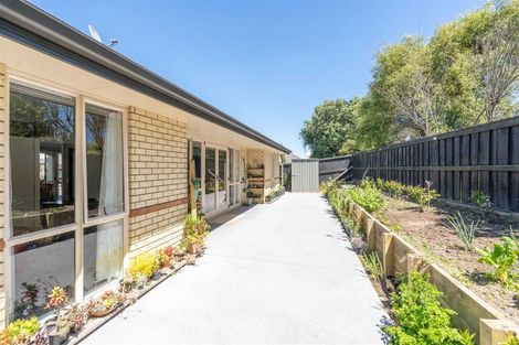 Photo of property in 8 Rochford Court, Hamilton East, Hamilton, 3216