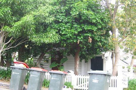 Photo of property in 65g Third Avenue, Kingsland, Auckland, 1021