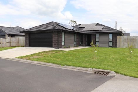 Photo of property in 12 Kotukutuku Street, Ngaruawahia, 3720