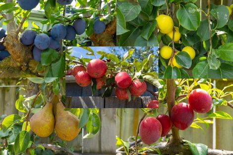 Photo of property in 41 Uxbridge Street, Renwick, 7204