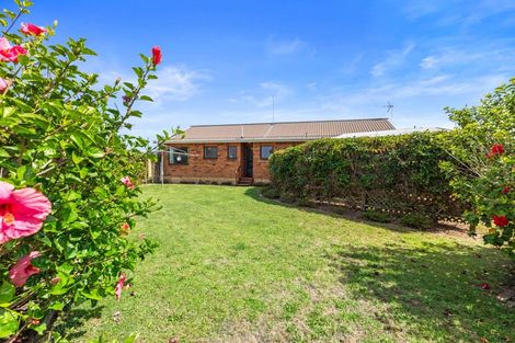 Photo of property in 10 Marwood Place, Mount Maunganui, 3116