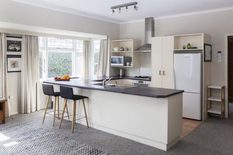 Photo of property in 103 Petrie Street, Richmond, Christchurch, 8013