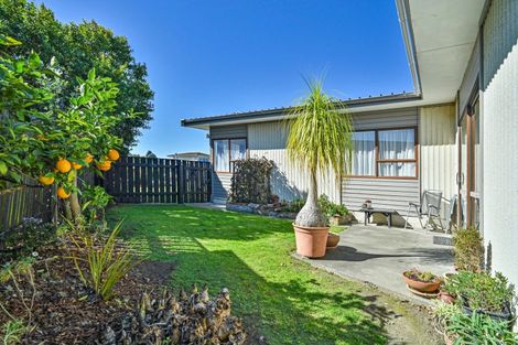 Photo of property in 505 Poplar Place, Akina, Hastings, 4122