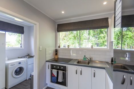 Photo of property in 1029b Konini Street, Mahora, Hastings, 4120