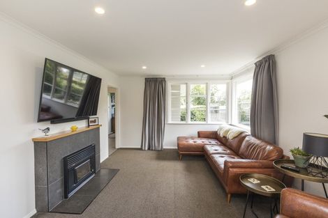 Photo of property in 53 Guy Avenue, Takaro, Palmerston North, 4410