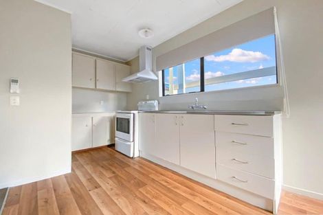 Photo of property in 46 Abbotsford Street, Whitiora, Hamilton, 3200