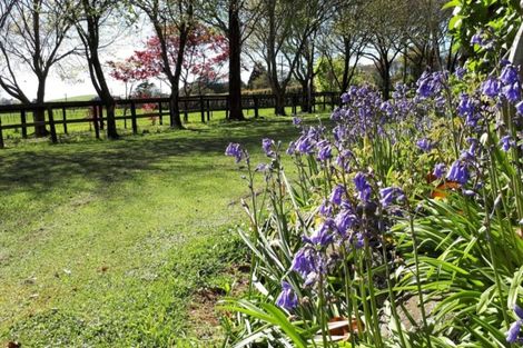 Photo of property in 273 Norfolk Road, Norfolk, Inglewood, 4388