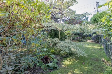 Photo of property in 84 Macarthur Street, Levin, 5510