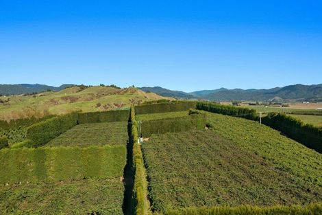 Photo of property in 31 Clark Cross Road, Otara, Opotiki, 3197