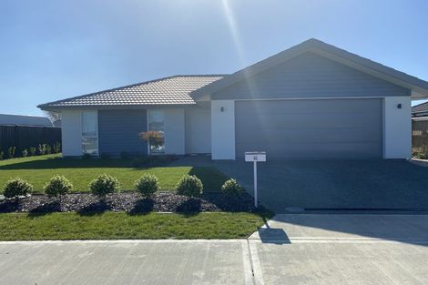 Photo of property in 46 Borck Avenue, Appleby, Richmond, 7020