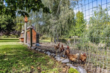 Photo of property in 128 Horsley Down Road, Hawarden, 7385