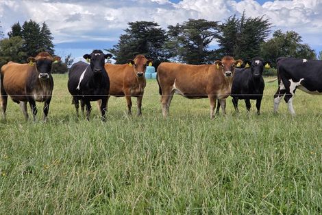 Photo of property in 16 Northbrook Road, Rangiora, 7400