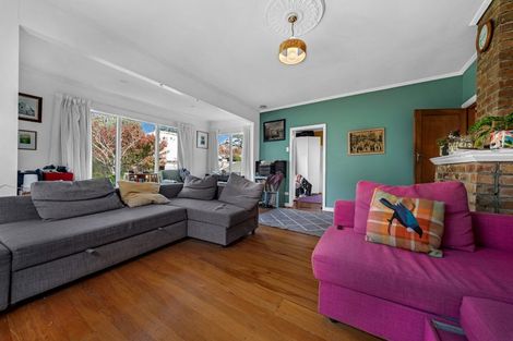 Photo of property in 117 Hutchinson Avenue, New Lynn, Auckland, 0600