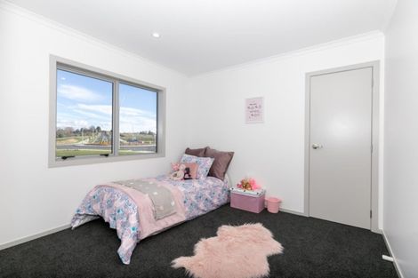 Photo of property in 4 Iwi Road, Baverstock, Hamilton, 3200