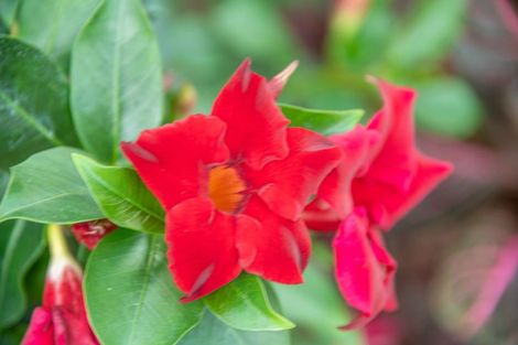 Photo of property in 96a Lakeside Drive, Orewa, 0931