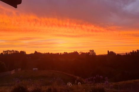 Photo of property in 912 Omanawa Road, Omanawa, Tauranga, 3171