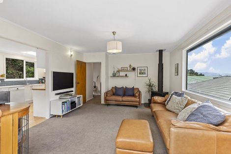 Photo of property in 12 Mccoll Street, Vogeltown, Wellington, 6021