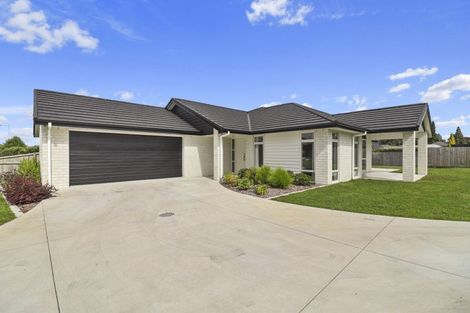 Photo of property in 13 Richardson Road, Matamata, 3400