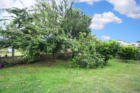 Photo of property in 21 Clothier Street, Putaruru, 3411