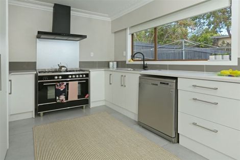 Photo of property in 46b Kamara Road, Glen Eden, Auckland, 0602