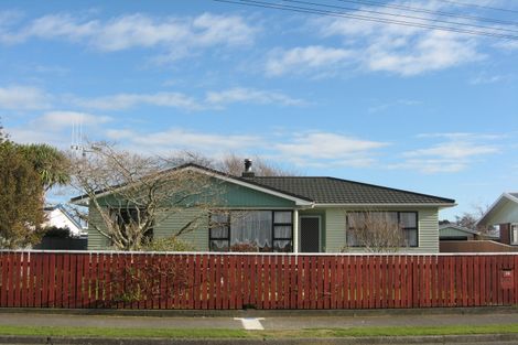 Photo of property in 28 Parsons Avenue, Levin, 5510